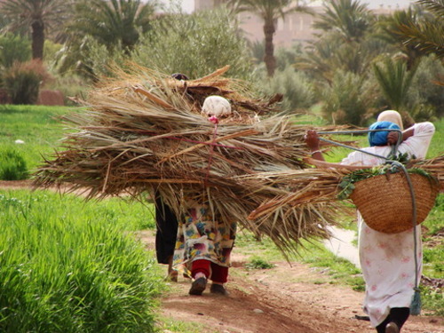 Autonomisation économique des femmes rurales : Défis et aspirations